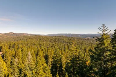a view of a forest of trees in the mountains at 3 Mi to Big Trees State Park Cabin with Deck in Arnold