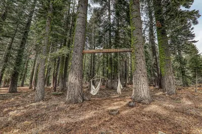 a hammock hanging from two trees in a forest at Sherwood Chalet - Quiet 3 BR in Ward Canyon, Private Hot Tub, Near Sherwood Chairlift in Tahoe City