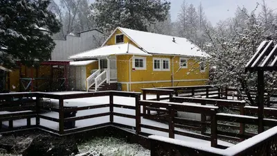 a small yellow house with snow on it at Yosemite International Hostel in Groveland