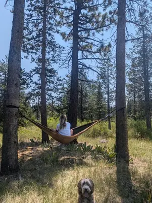 a woman sitting in a hammock in the woods with a dog at Modern Gambrel Cabin Near Ski Resorts in Truckee