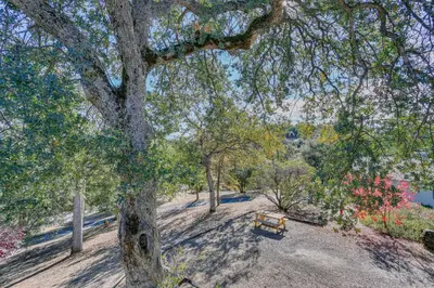 a park with a bench under a tree at Cozy Studio with Well-Being Retreat Near Yosemite! in Ahwahnee