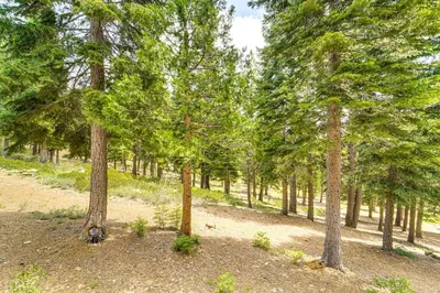 a wooded area with trees in the foreground at Less Than 1 Mi to North Star Resort Condo with Balcony in Truckee