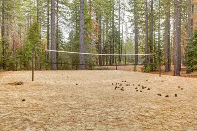 a group of ducks standing in front of a volleyball net at Less Than 1 Mi to Lake Tahoe Beaches Home with Fire Pit! in Tahoe City