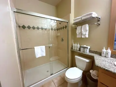 a bathroom with a shower and a toilet at Ski-in/Ski-out with views at Sunstone in Mammoth Lakes