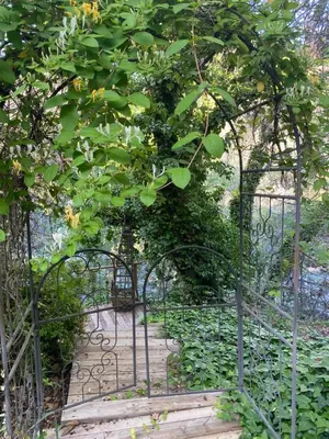 a garden with a gate with a walkway at RiverFront Retreat- Spa/Hot tub, Game Room, Limited Gym in Three Rivers