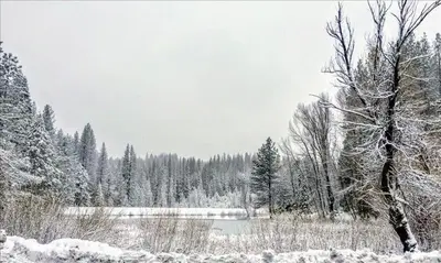 a snow covered field with a lake and trees at Ravenhill in Arnold