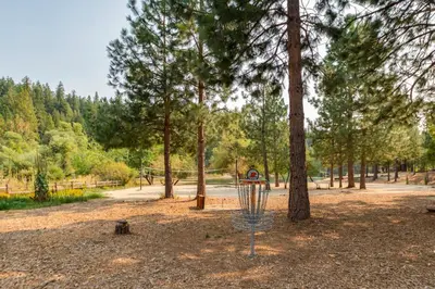 Gallery image of Bearcub Chalet in Arnold