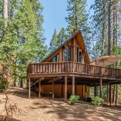 Peaceful Pines