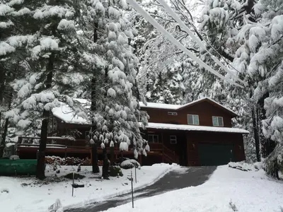 Gallery image of Bear Territory in Dorrington