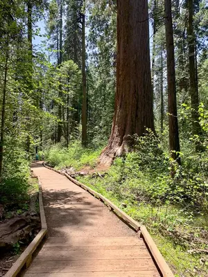 Gallery image of Evergreen Lodge in Arnold