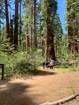 Gallery image of Cabin a Good Time in Camp Connell