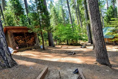 a log cabin in the middle of a forest at Grey Wolf Manor in Arnold