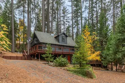 a log cabin in the woods with trees at Grey Wolf Manor in Arnold