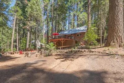 Gallery image of Knotty by Nature in Camp Connell