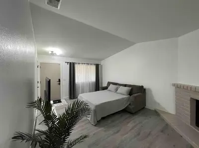 a bedroom with a bed and a plant in it at Entire Modern House with King bed & 65inTV in Carmichael