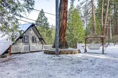 a tree and a swing in front of a house at Serene Cabin Retreat Between Murphys and Arnold in Murphys