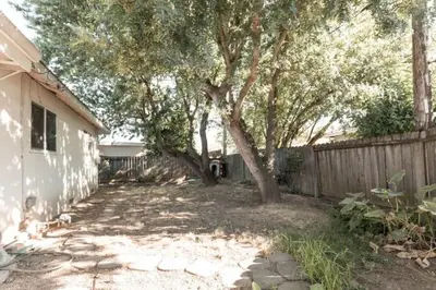 a yard with a tree next to a fence at SunHouse 1410sqft BBQ 3xTVs Pets W/D Backyard in Sacramento