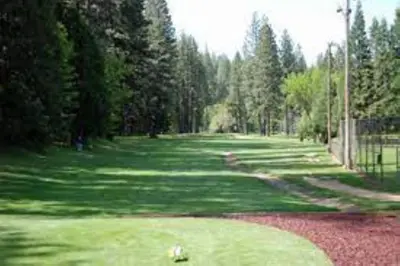 a large green field with trees and grass at Read Haven 3 Bedroom, 1.5 Bath in Twain Harte