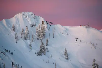 a snow covered mountain with trees on top of it at Palisades Tahoe Lodge Rentals Premium Studio #227 in Olympic Valley