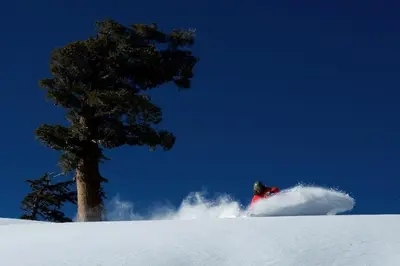 a person skiing down a snow covered slope next to a tree at Palisades Tahoe Lodge Rentals Studio #253 in Olympic Valley