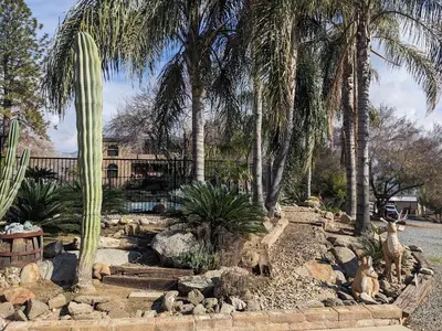 a garden with a cactus and rocks and palm trees at Rustic Rooms Barn Loft (Upstairs Studio Apartment) Near Kings Canyon & Sequoia National Parks in Squaw Valley