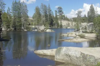 a river with rocks and trees in a forest at Sweet Retreat: Theater, Pool/Ping-Pong, Quiet! in Camp Connell
