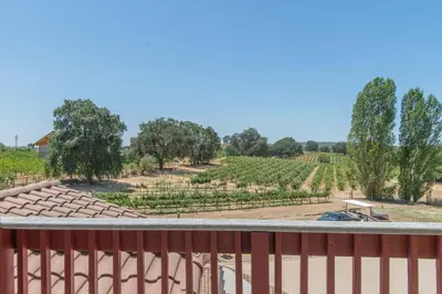 a view of a vineyard from a balcony at Balcony Suite Fraser Family Vineyard Stay in Amador in Plymouth
