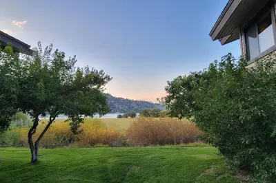 a tree in a yard next to a house at Lakefront Mountain Retreat in June Lake