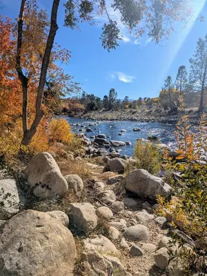a river with rocks and trees on the side at Brand New Cabin in Kernville
