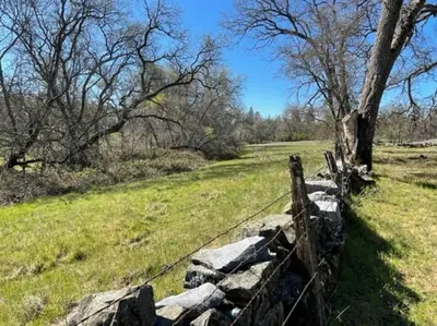 a fence in a field next to a tree at *Pinecone Hollow*Hot Tub & Game Room, Families in Arnold