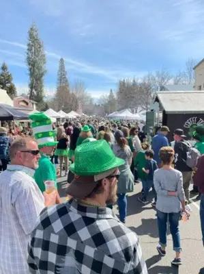 a crowd of people in green hats standing in a crowd at *Pinecone Hollow*Hot Tub & Game Room, Families in Arnold