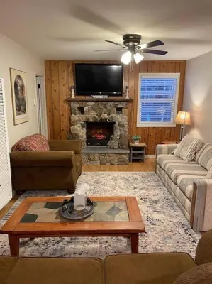a living room with a couch and a fireplace at Cedar Oasis - Pet Friendly Cabin w Fireplace, Games and Wifi - 5 min to Big Trees in Arnold
