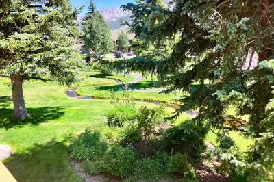 an overhead view of a garden with trees and grass at Snowcreek 264 in Mammoth Lakes