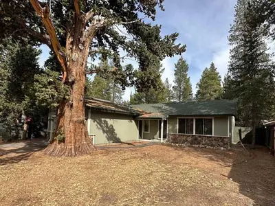 a house with a large tree in front of it at 1987 Cherokee St, home in South Lake Tahoe