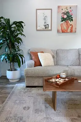 a living room with a couch and a coffee table at Serene Modern Family Getaway Near Midtown Downtown and Folsom Lake in Elk Grove