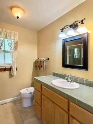 a bathroom with a sink and a toilet and a mirror at Anderson's Alpine Retreat- Pinecrest, CA Dodge Ski in Cold Springs