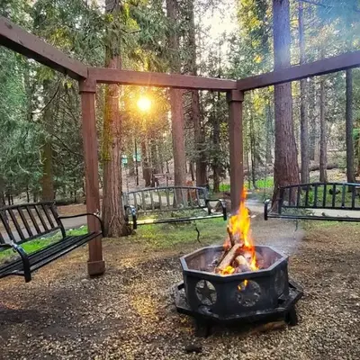 Sequoia Splendor
