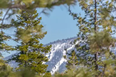 a snow covered mountain seen through the trees at Modern Eco Retreat with Hot Tub and Views in Truckee