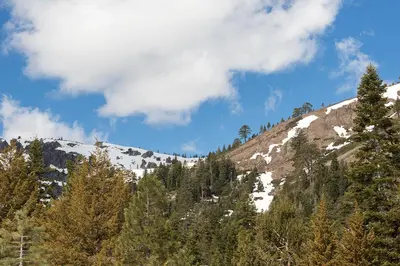 a snow covered mountain with trees on it at Mineral Springs 3 BR w Hot tub Available in Alpine Meadows in Olympic Valley