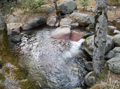 a small stream of water with rocks and trees at Riverside Manna in Mariposa