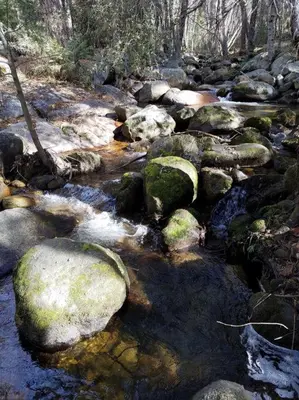 a stream of water with rocks in a forest at Riverside Manna in Mariposa