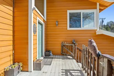 a cat sitting on the porch of a house at Kathy's Korner - Pet Friendy with Large Deck! home in Groveland