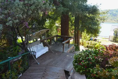 a wooden deck with a bench and a tree at Fox Lake View in Bass Lake
