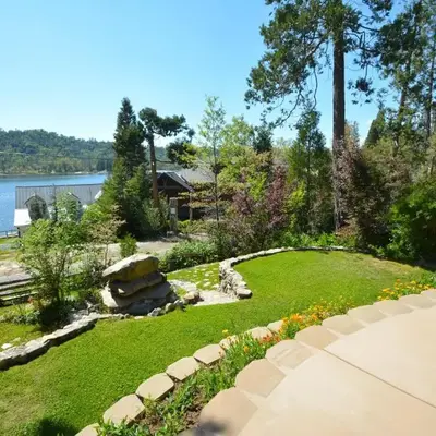 Fox Lake View