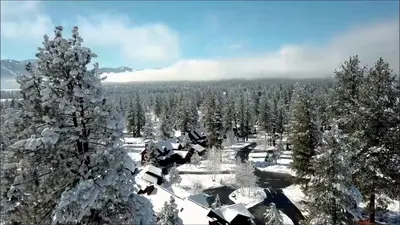 an aerial view of a snow covered forest with trees at The Cottages - Ski Shuttle, Ski Valet - 2-Bedroom in Truckee