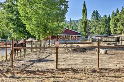 a horse in a pen in front of a building at Game Room and Patio Picturesque Home in Sonora in Sonora