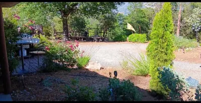 a garden with bushes and trees and a yard at 1948 Cottage with today's amenities in Bass Lake Annex