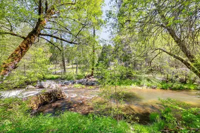 a creek in the middle of a forest at On-Site River Access Quiet Home in Wilseyville! in Wilseyville