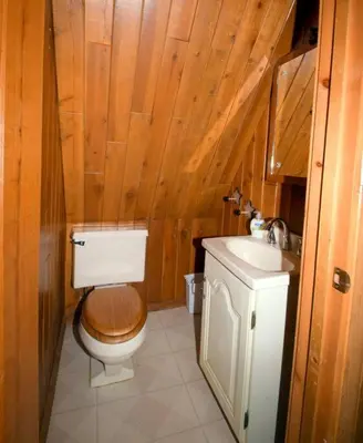a bathroom with a toilet and a sink at Baxter Mountain Cottage in Shaver Lake