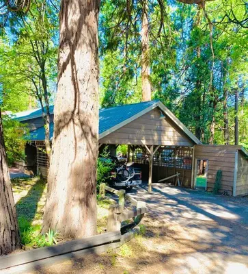 a building with a tree in front of it at Camp Cocktail - Cabin in the Heart of the Sierra, Arnold, CA in Arnold